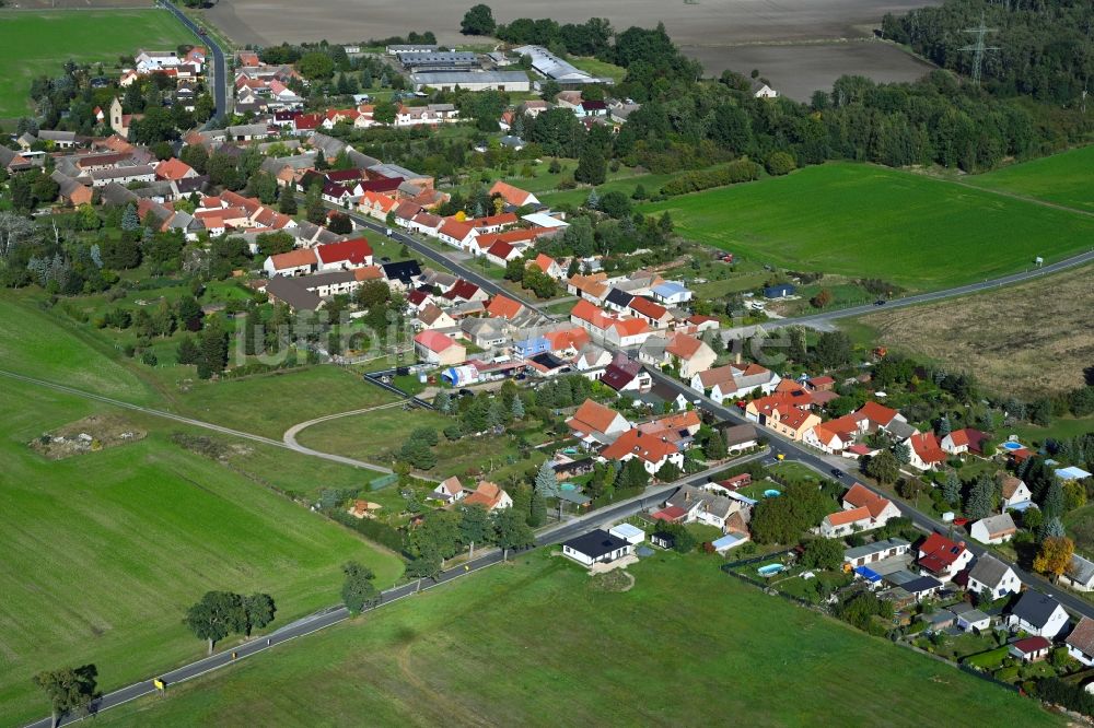 Oelsig von oben - Dorfkern am Feldrand in Oelsig im Bundesland Brandenburg, Deutschland