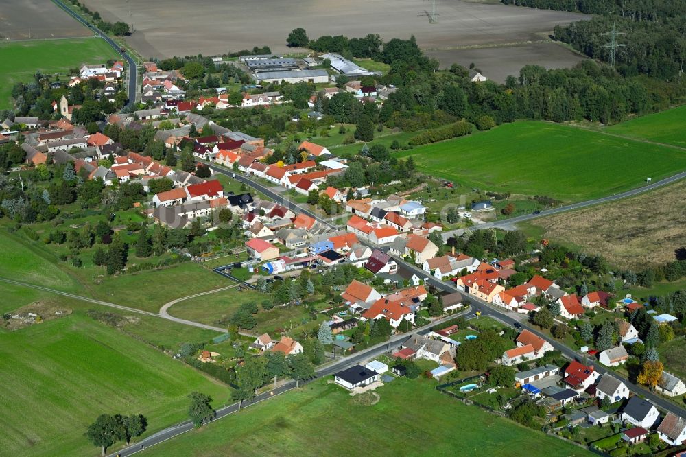 Oelsig aus der Vogelperspektive: Dorfkern am Feldrand in Oelsig im Bundesland Brandenburg, Deutschland