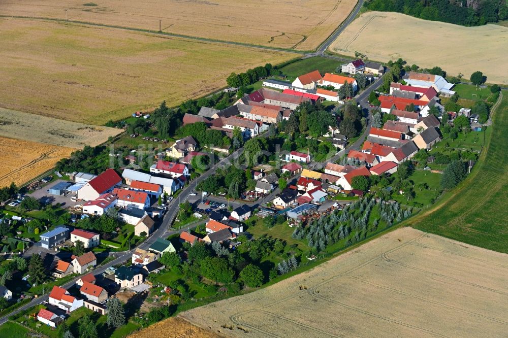 Olganitz von oben - Dorfkern am Feldrand in Olganitz im Bundesland Sachsen, Deutschland