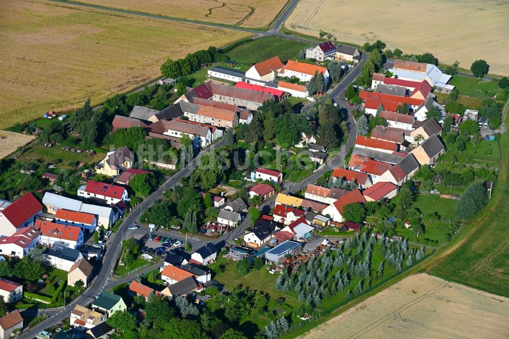 Luftbild Olganitz - Dorfkern am Feldrand in Olganitz im Bundesland Sachsen, Deutschland