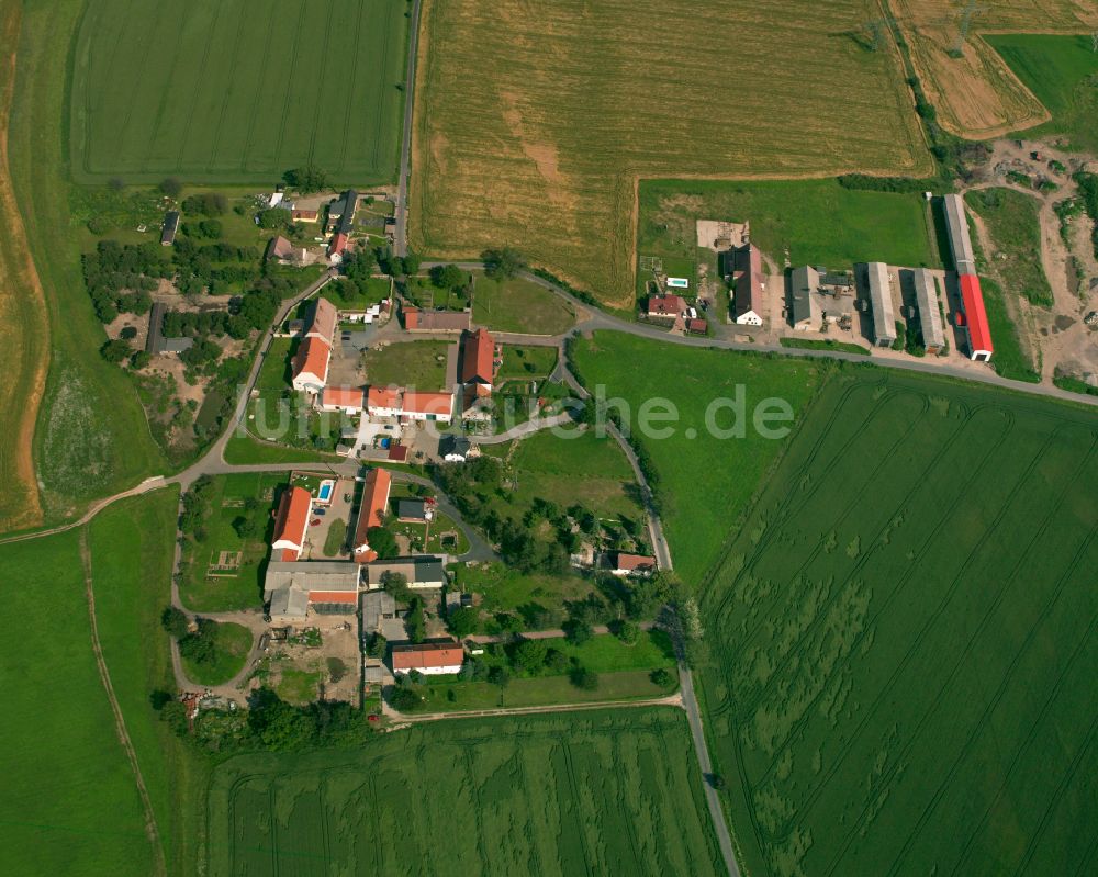 Oppitzsch aus der Vogelperspektive: Dorfkern am Feldrand in Oppitzsch im Bundesland Sachsen, Deutschland