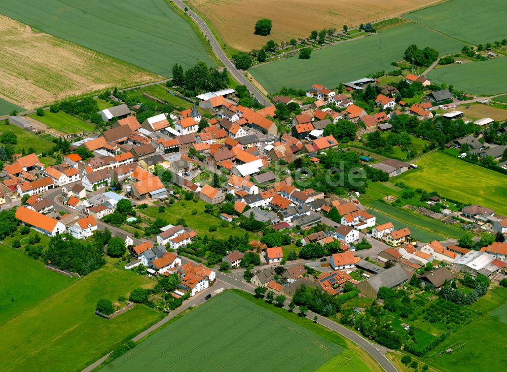 Luftbild Orbis - Dorfkern am Feldrand in Orbis im Bundesland Rheinland-Pfalz, Deutschland