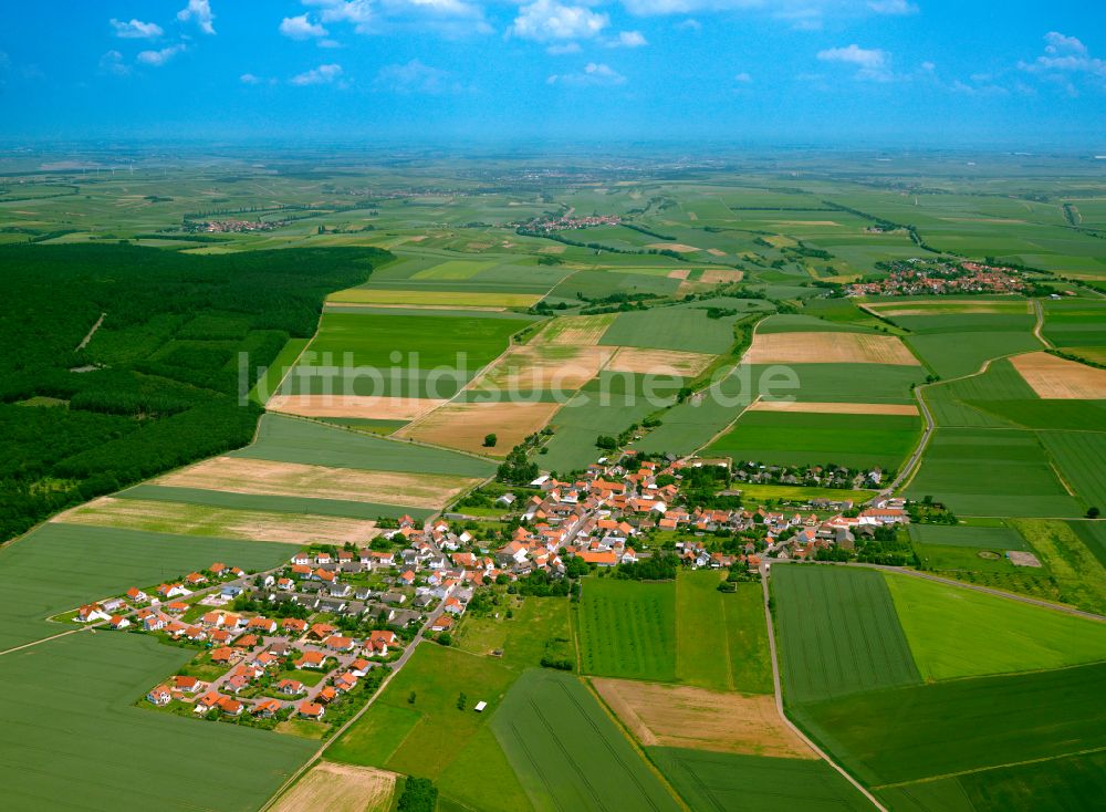 Luftaufnahme Orbis - Dorfkern am Feldrand in Orbis im Bundesland Rheinland-Pfalz, Deutschland