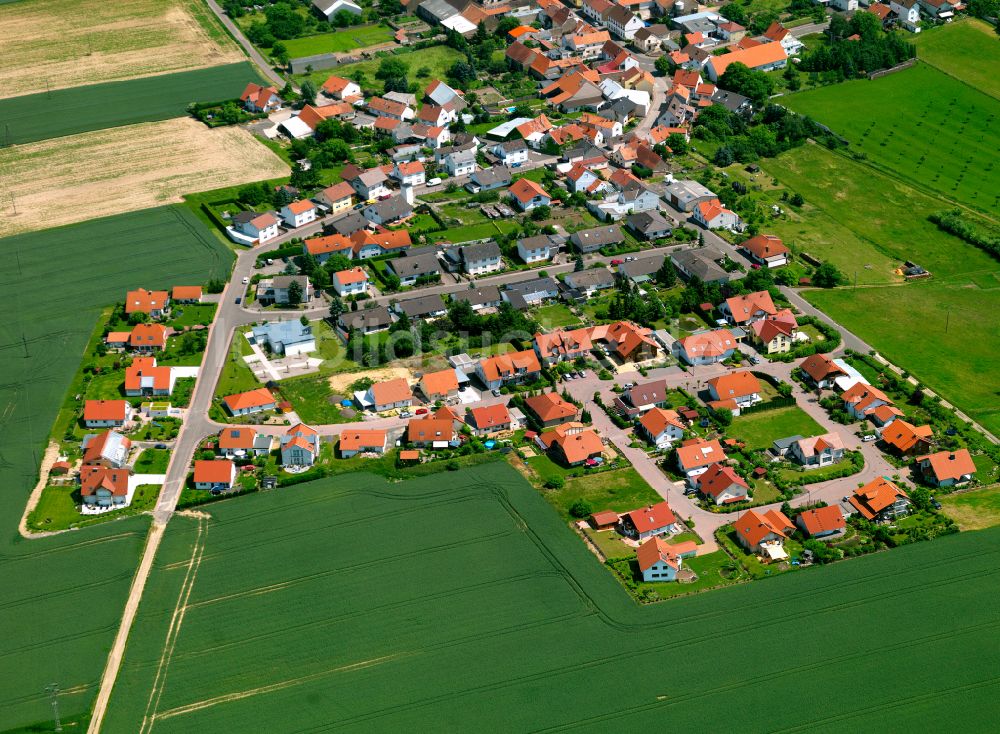 Orbis von oben - Dorfkern am Feldrand in Orbis im Bundesland Rheinland-Pfalz, Deutschland