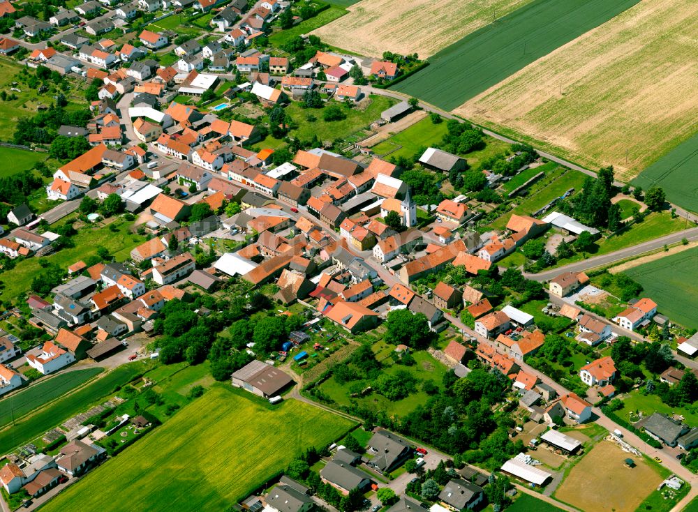 Orbis aus der Vogelperspektive: Dorfkern am Feldrand in Orbis im Bundesland Rheinland-Pfalz, Deutschland