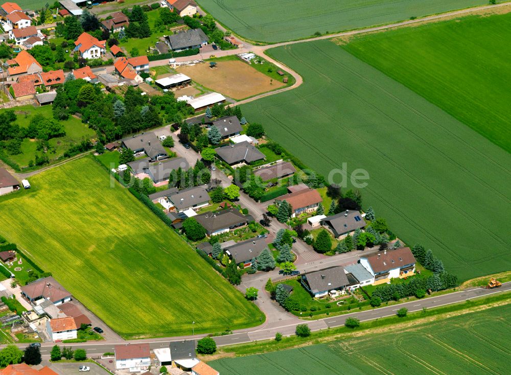 Luftbild Orbis - Dorfkern am Feldrand in Orbis im Bundesland Rheinland-Pfalz, Deutschland