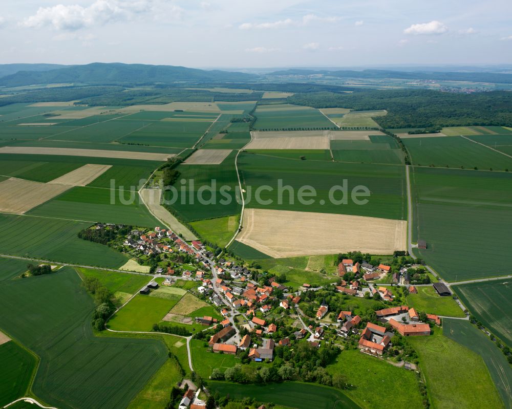 Ostharingen aus der Vogelperspektive: Dorfkern am Feldrand in Ostharingen im Bundesland Niedersachsen, Deutschland