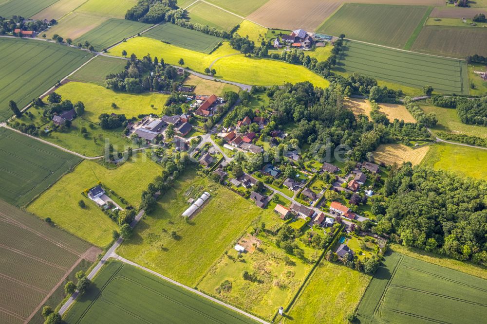 Luftaufnahme Pedinghausen - Dorfkern am Feldrand in Pedinghausen im Bundesland Nordrhein-Westfalen, Deutschland