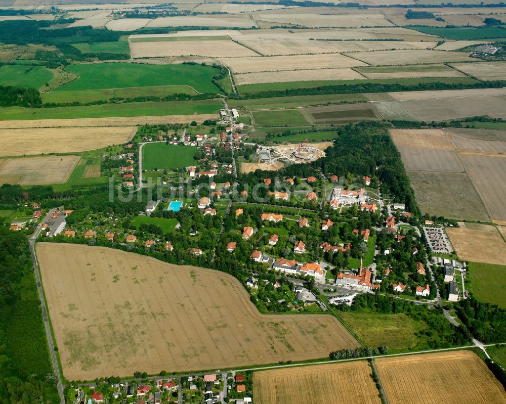 Luftbild Pfafferode - Dorfkern am Feldrand in Pfafferode im Bundesland Thüringen, Deutschland