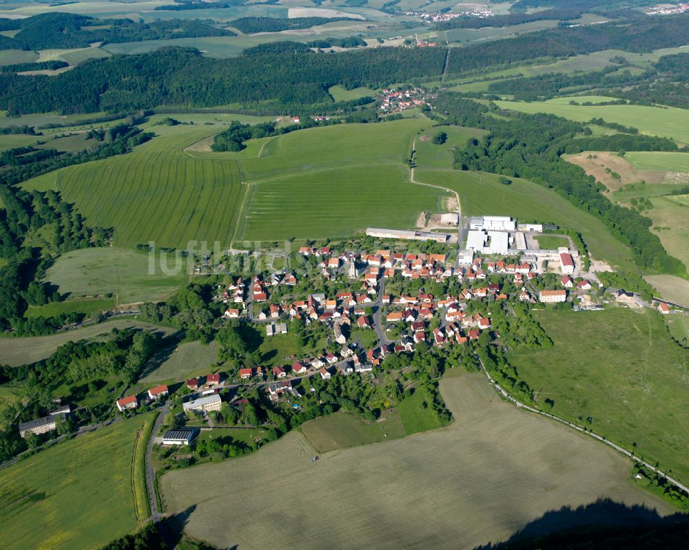 Luftbild Pfaffschwende - Dorfkern am Feldrand in Pfaffschwende im Bundesland Thüringen, Deutschland