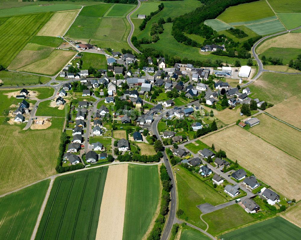 Pleizenhausen aus der Vogelperspektive: Dorfkern am Feldrand in Pleizenhausen im Bundesland Rheinland-Pfalz, Deutschland