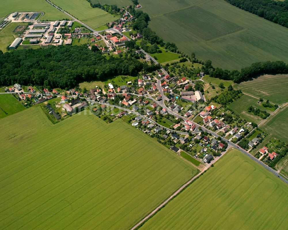 Plotitz aus der Vogelperspektive: Dorfkern am Feldrand in Plotitz im Bundesland Sachsen, Deutschland