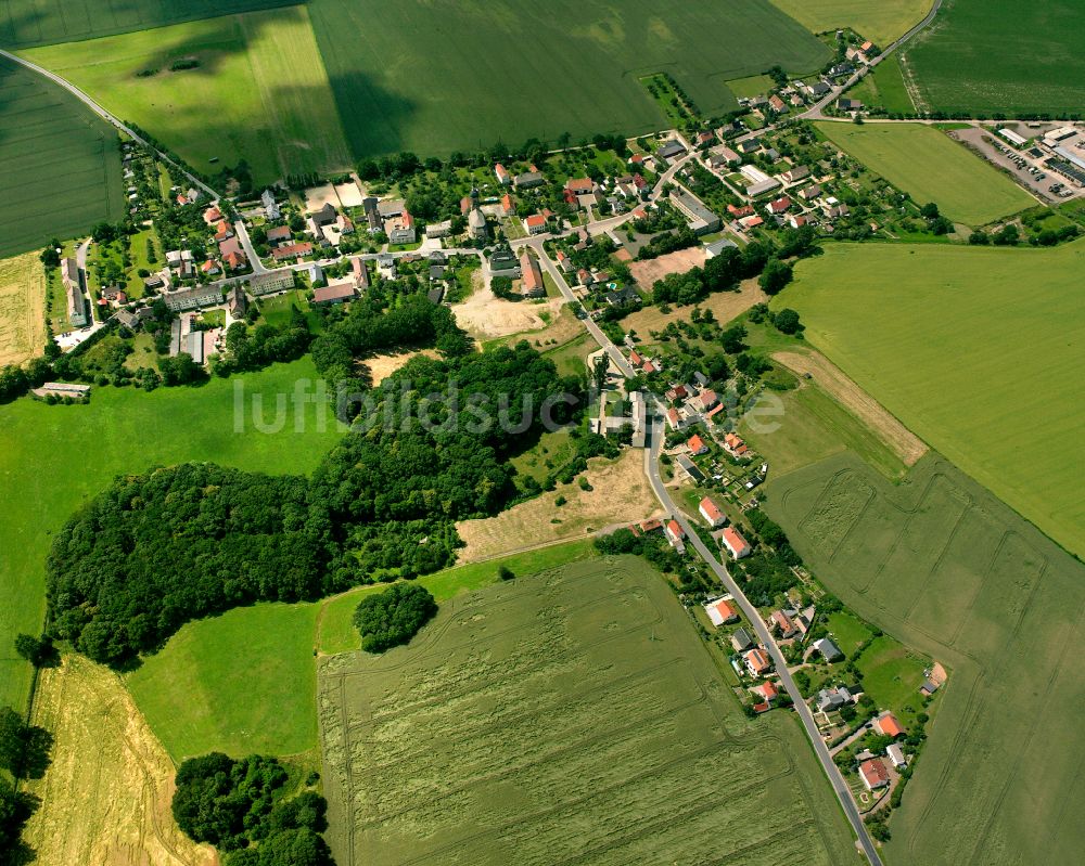 Prausitz von oben - Dorfkern am Feldrand in Prausitz im Bundesland Sachsen, Deutschland