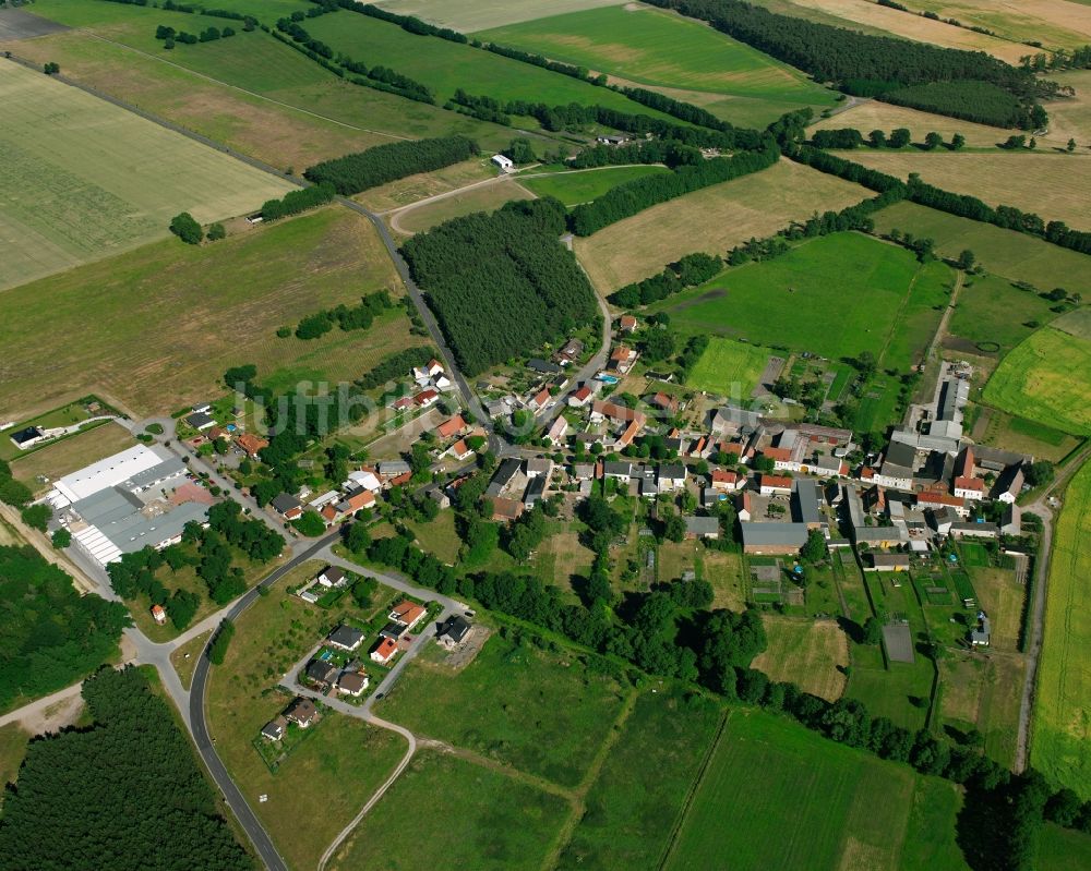 Luftbild Pulspforde - Dorfkern am Feldrand in Pulspforde im Bundesland Sachsen-Anhalt, Deutschland