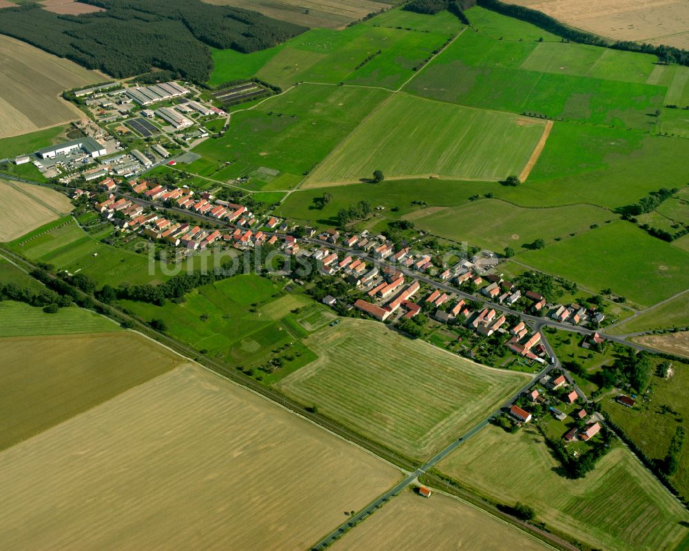 Quersa aus der Vogelperspektive: Dorfkern am Feldrand in Quersa im Bundesland Sachsen, Deutschland