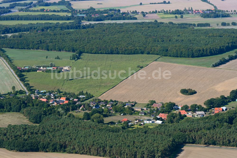 Luftbild Radelübbe - Dorfkern am Feldrand in Radelübbe im Bundesland Mecklenburg-Vorpommern, Deutschland