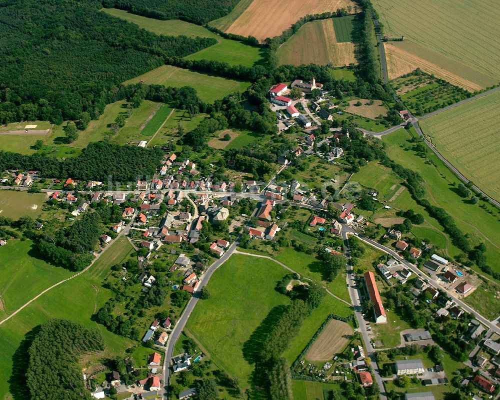 Radewitz aus der Vogelperspektive: Dorfkern am Feldrand in Radewitz im Bundesland Sachsen, Deutschland