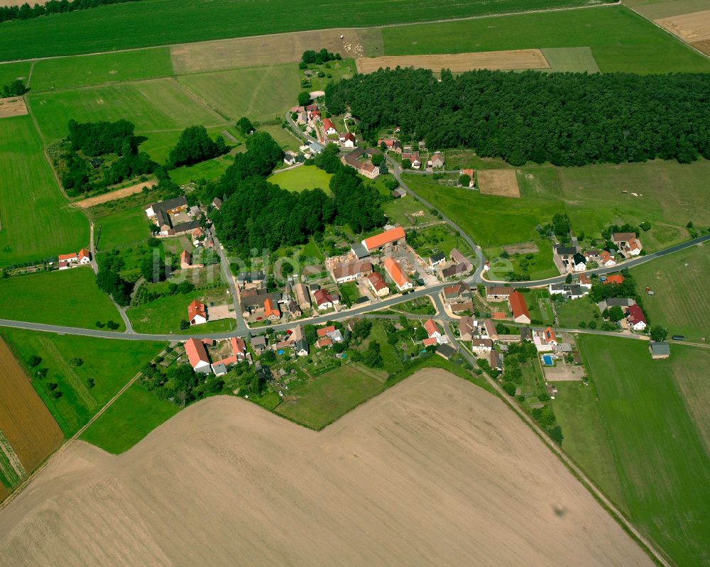 Radewitz von oben - Dorfkern am Feldrand in Radewitz im Bundesland Sachsen, Deutschland