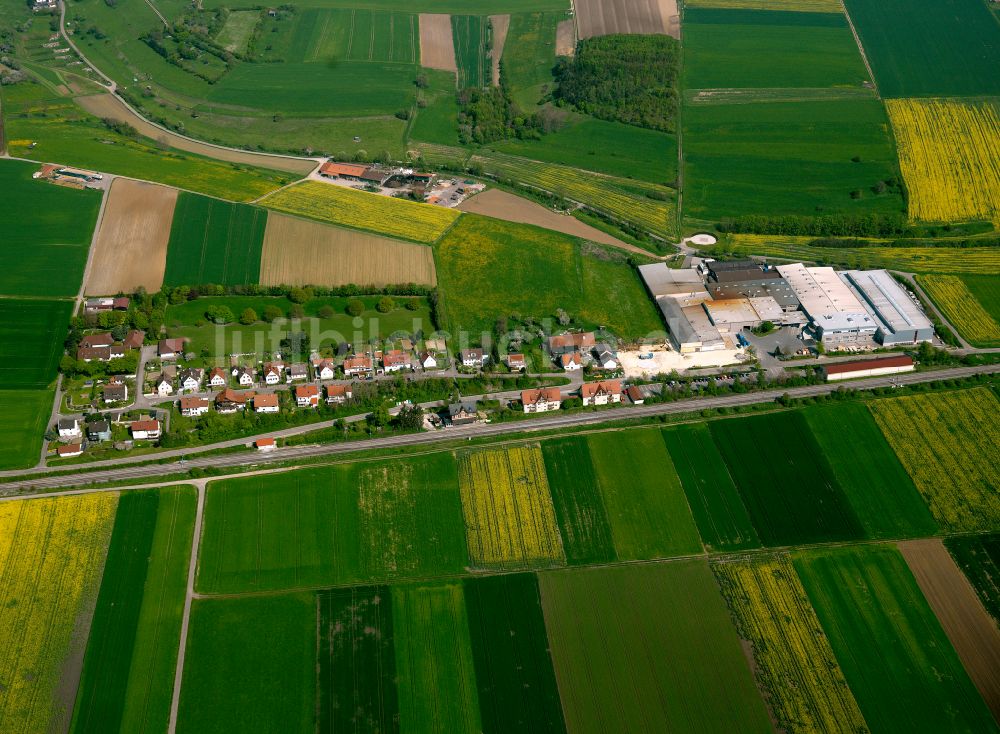 Rammingen von oben - Dorfkern am Feldrand in Rammingen im Bundesland Baden-Württemberg, Deutschland