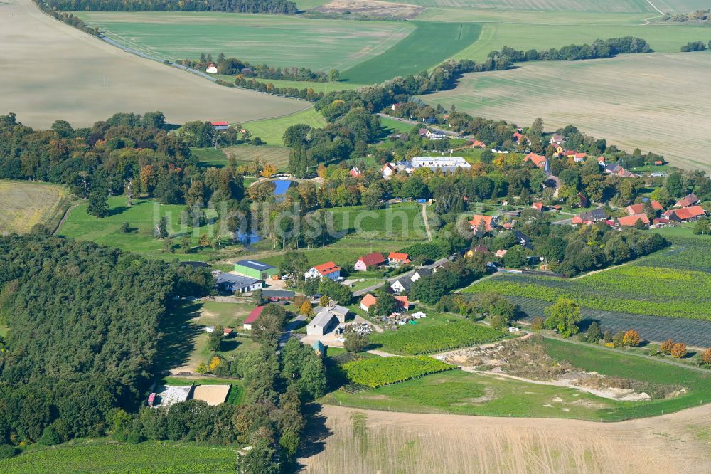 Luftaufnahme Rattey - Dorfkern am Feldrand in Rattey im Bundesland Mecklenburg-Vorpommern, Deutschland