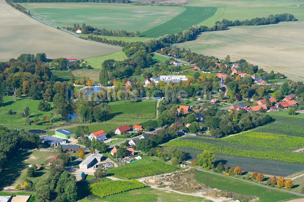 Rattey von oben - Dorfkern am Feldrand in Rattey im Bundesland Mecklenburg-Vorpommern, Deutschland