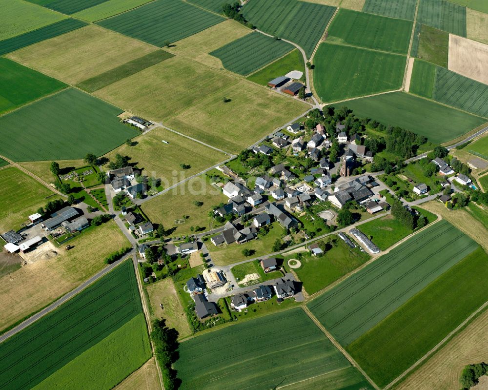 Rayerschied aus der Vogelperspektive: Dorfkern am Feldrand in Rayerschied im Bundesland Rheinland-Pfalz, Deutschland