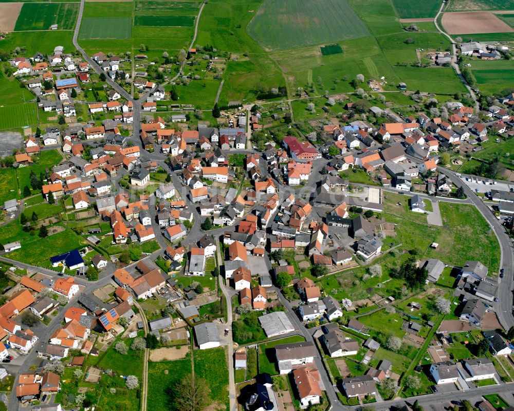 Luftbild Rüddingshausen - Dorfkern am Feldrand in Rüddingshausen im Bundesland Hessen, Deutschland