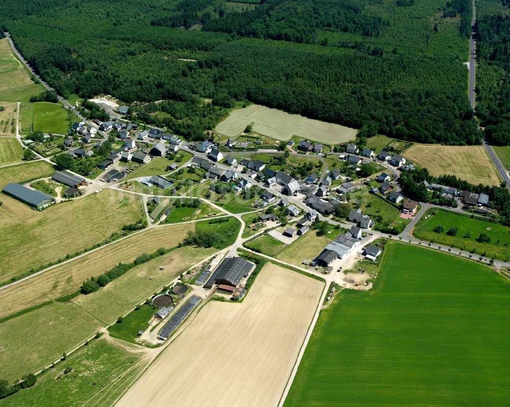 Luftaufnahme Rödelhausen - Dorfkern am Feldrand in Rödelhausen im Bundesland Rheinland-Pfalz, Deutschland