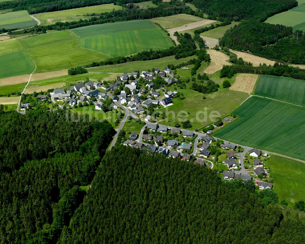 Luftaufnahme Rödern - Dorfkern am Feldrand in Rödern im Bundesland Rheinland-Pfalz, Deutschland