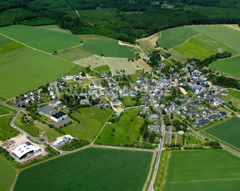 Reckershausen aus der Vogelperspektive: Dorfkern am Feldrand in Reckershausen im Bundesland Rheinland-Pfalz, Deutschland