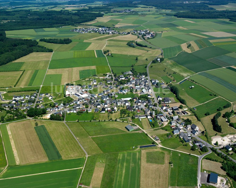 Reich von oben - Dorfkern am Feldrand in Reich im Bundesland Rheinland-Pfalz, Deutschland