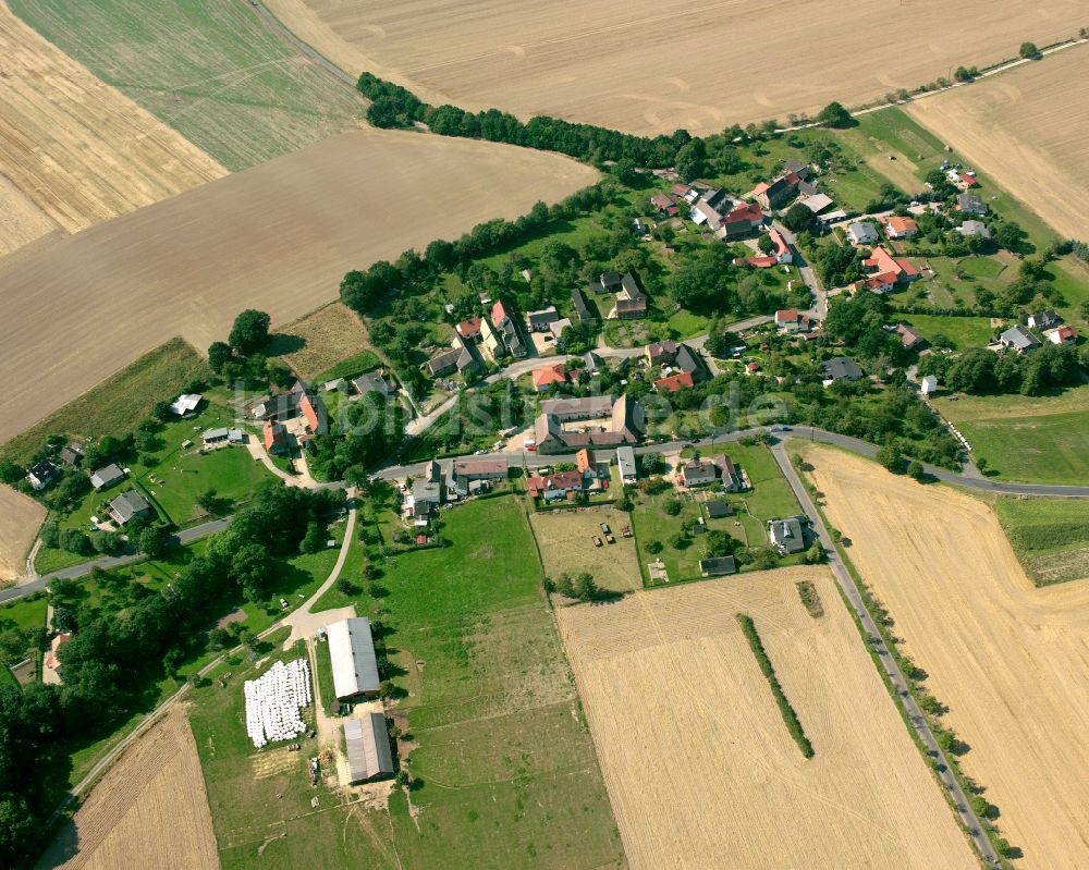 Luftbild Reichenbach - Dorfkern am Feldrand in Reichenbach im Bundesland Thüringen, Deutschland