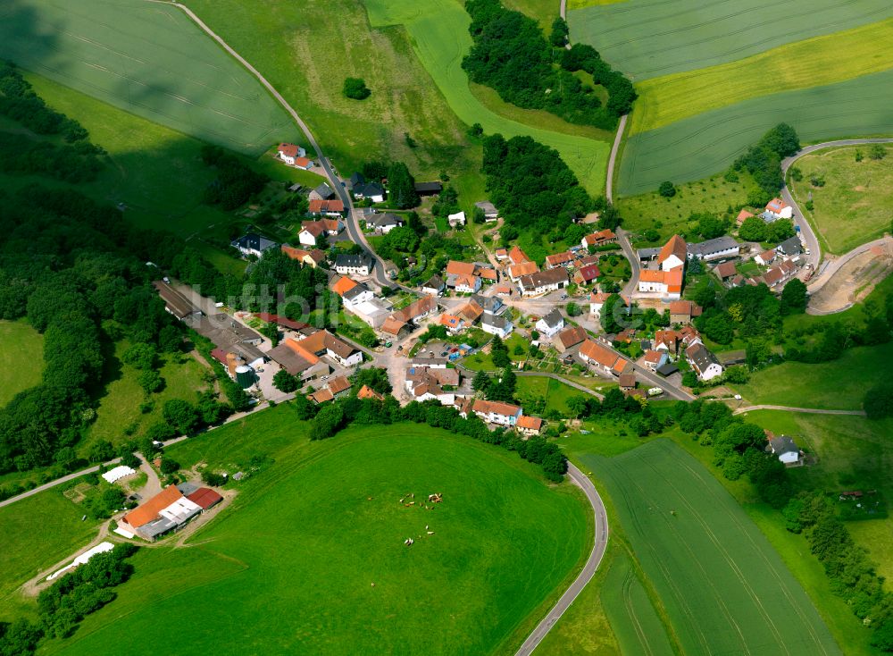 Reichsthal von oben - Dorfkern am Feldrand in Reichsthal im Bundesland Rheinland-Pfalz, Deutschland