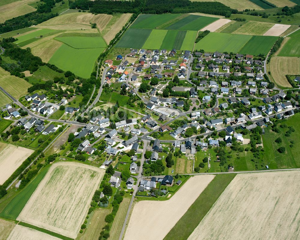 Reifenthal von oben - Dorfkern am Feldrand in Reifenthal im Bundesland Rheinland-Pfalz, Deutschland