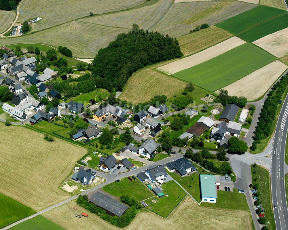 Reifenthal aus der Vogelperspektive: Dorfkern am Feldrand in Reifenthal im Bundesland Rheinland-Pfalz, Deutschland