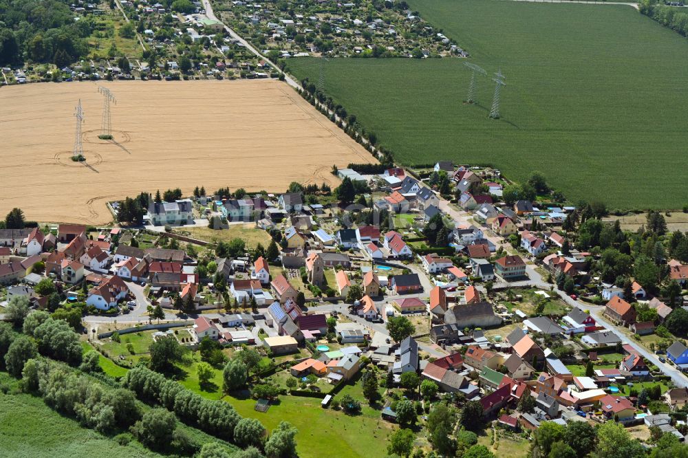 Reipisch von oben - Dorfkern am Feldrand in Reipisch im Bundesland Sachsen-Anhalt, Deutschland