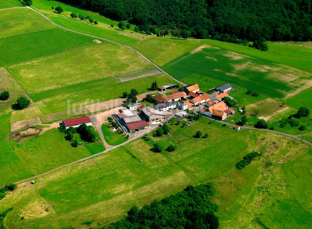 Reiterhof von oben - Dorfkern am Feldrand in Reiterhof im Bundesland Rheinland-Pfalz, Deutschland