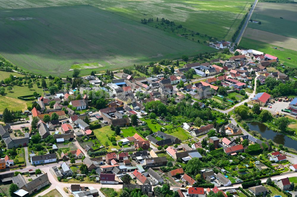 Luftbild Reppichau - Dorfkern am Feldrand in Reppichau im Bundesland Sachsen-Anhalt, Deutschland