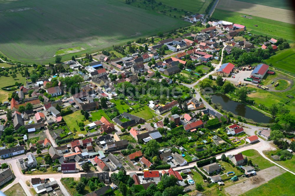 Luftaufnahme Reppichau - Dorfkern am Feldrand in Reppichau im Bundesland Sachsen-Anhalt, Deutschland