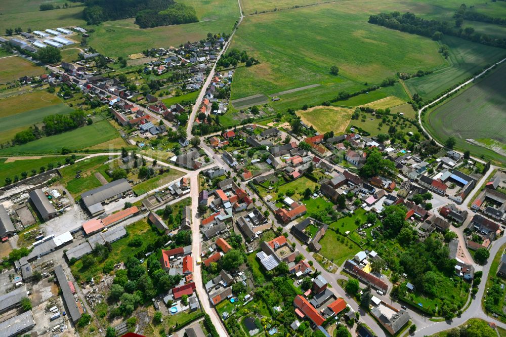 Reppichau aus der Vogelperspektive: Dorfkern am Feldrand in Reppichau im Bundesland Sachsen-Anhalt, Deutschland