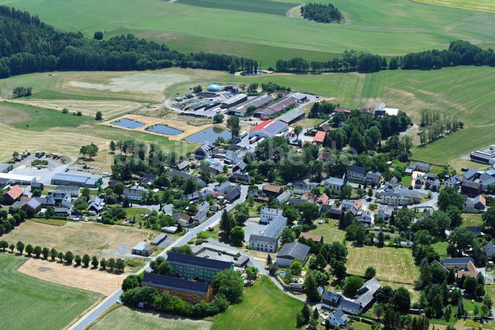 Luftbild Reuth - Dorfkern am Feldrand in Reuth im Bundesland Sachsen, Deutschland