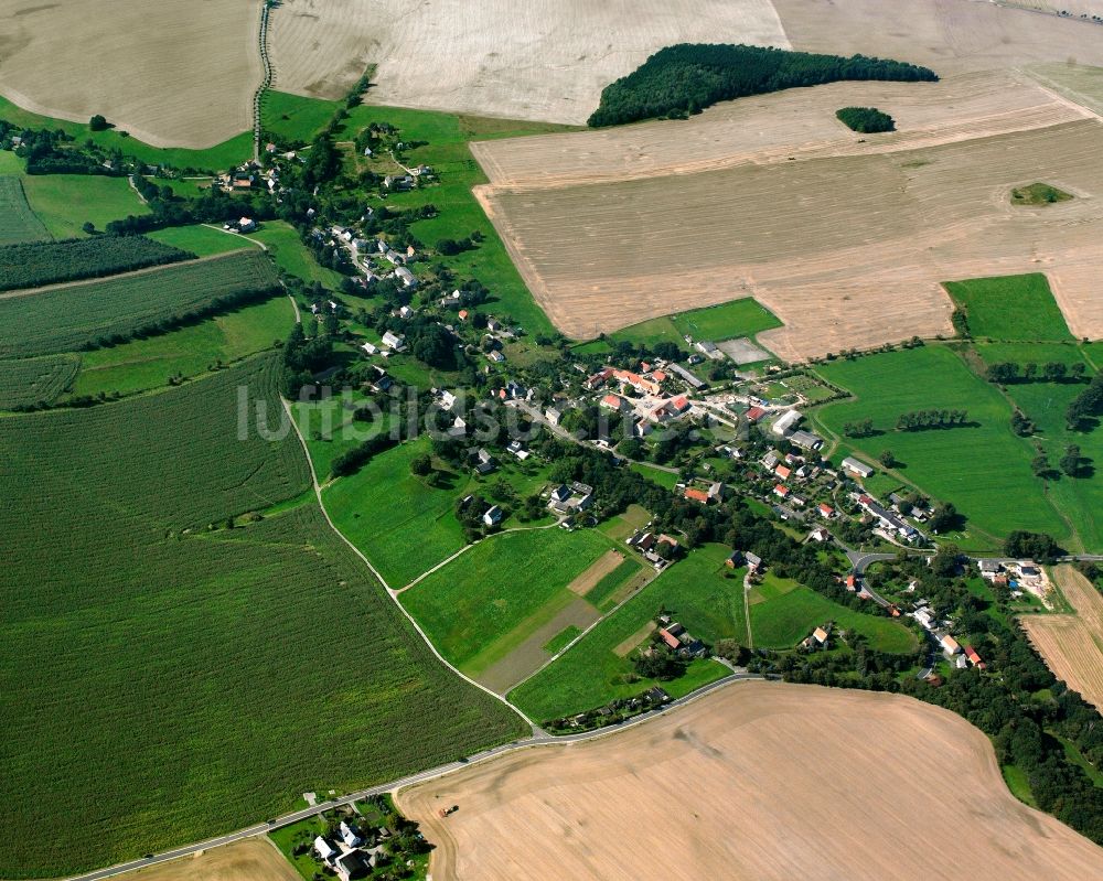 Riechberg von oben - Dorfkern am Feldrand in Riechberg im Bundesland Sachsen, Deutschland