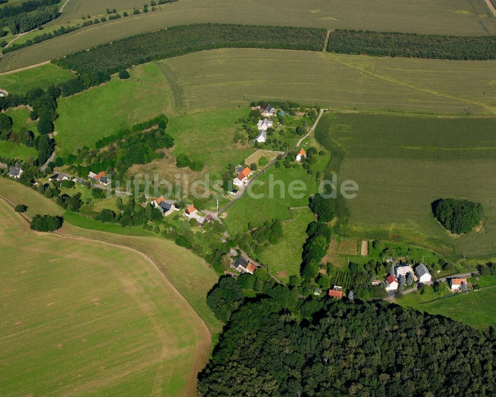 Luftbild Riechberg - Dorfkern am Feldrand in Riechberg im Bundesland Sachsen, Deutschland