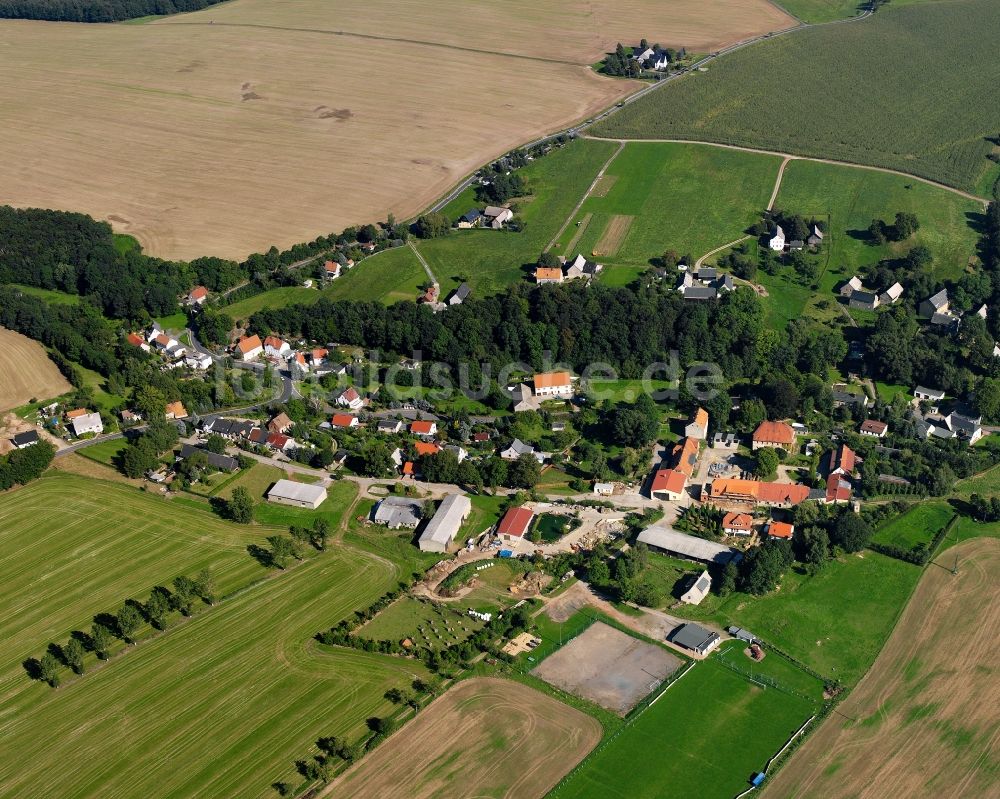 Luftaufnahme Riechberg - Dorfkern am Feldrand in Riechberg im Bundesland Sachsen, Deutschland