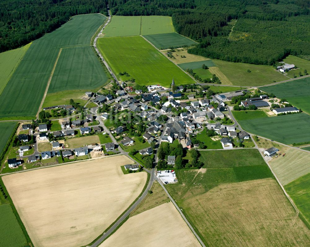 Luftaufnahme Riegenroth - Dorfkern am Feldrand in Riegenroth im Bundesland Rheinland-Pfalz, Deutschland