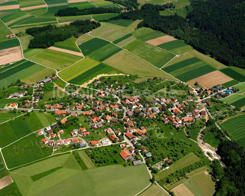 Rienharz von oben - Dorfkern am Feldrand in Rienharz im Bundesland Baden-Württemberg, Deutschland