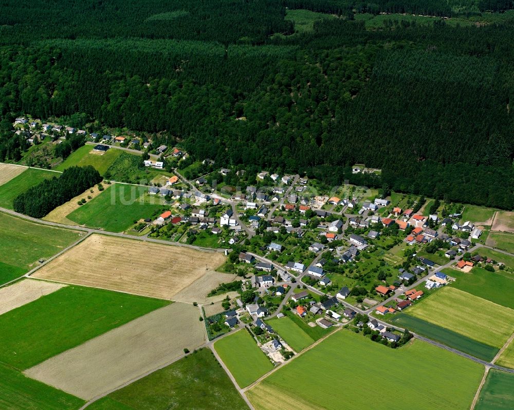 Luftbild Rinzenberg - Dorfkern am Feldrand in Rinzenberg im Bundesland Rheinland-Pfalz, Deutschland