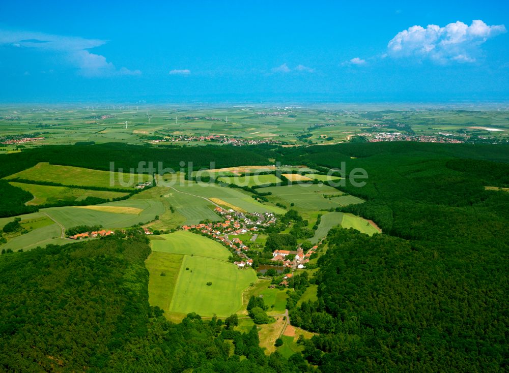 Luftbild Rosenthal - Dorfkern am Feldrand in Rosenthal im Bundesland Rheinland-Pfalz, Deutschland