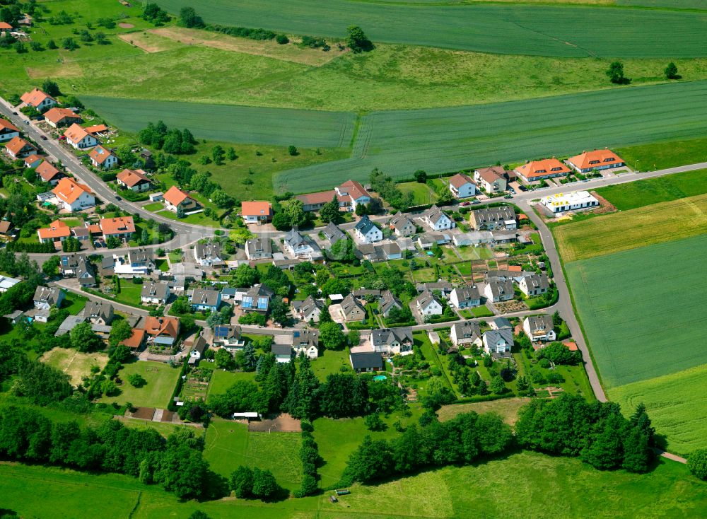 Rosenthal aus der Vogelperspektive: Dorfkern am Feldrand in Rosenthal im Bundesland Rheinland-Pfalz, Deutschland