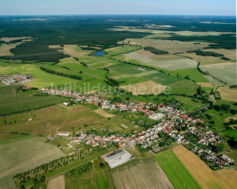 Rosian von oben - Dorfkern am Feldrand in Rosian im Bundesland Sachsen-Anhalt, Deutschland